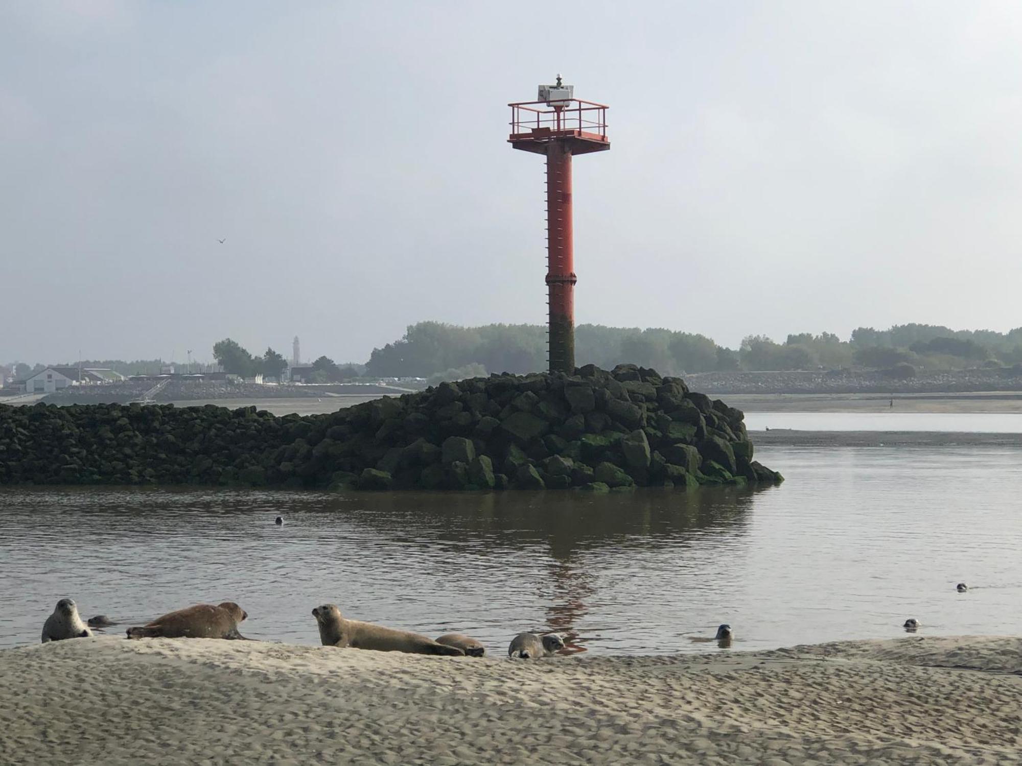 L'Escapade - Hardelot Plage - Parking Prive Neufchatel Hardelot Bagian luar foto